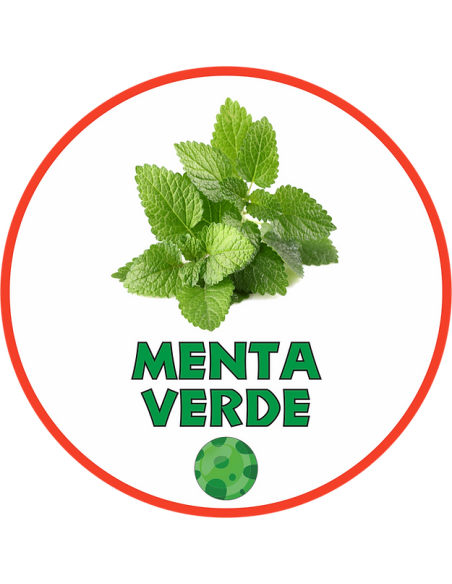 BLISTER CLICKBALL MENTA VERDE